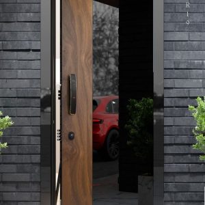Cửa Chính Biệt Thự Cao Cấp Br (2)