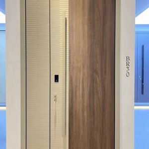 Cửa Chính Biệt Thự Cao Cấp Br 30