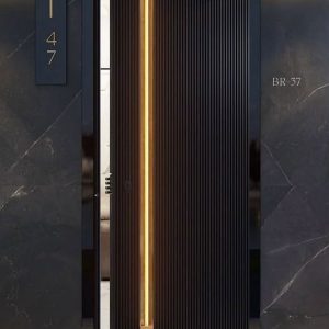 Cửa Chính Biệt Thự Cao Cấp Br 37