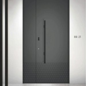 Cửa Chính Biệt Thự Cao Cấp Br (8)